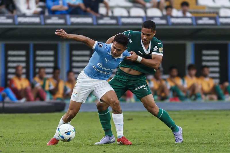 Palmeiras vs Sporting Cristal 