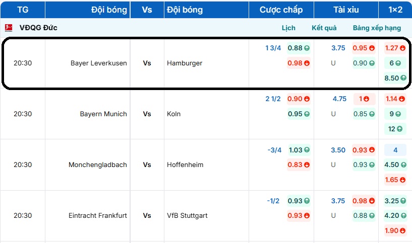 Bảng tỷ lệ kèo trận đấu Bayer Leverkusen vs Hamburger