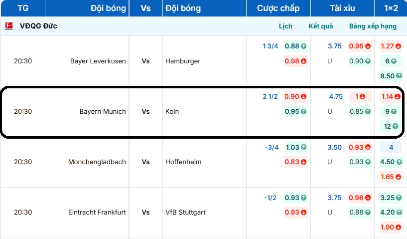 Bảng tỷ lệ kèo trận đấu Bayern Munich vs Koln