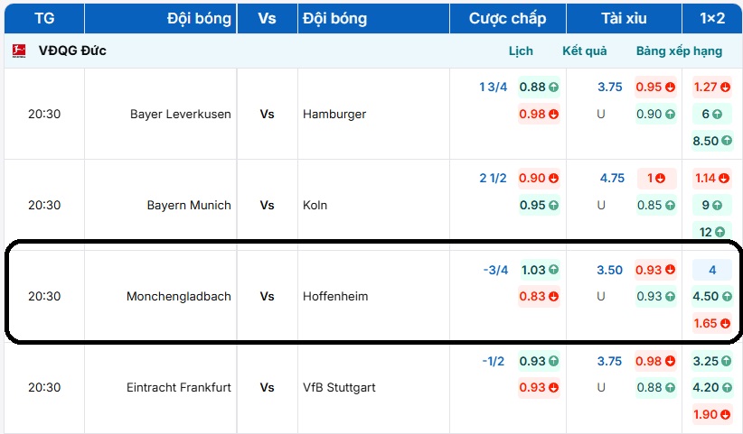 Bảng tỷ lệ kèo trận đấu Monchengladbach vs Hoffenheim