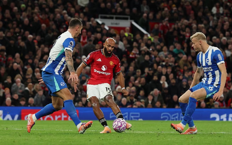 Brighton Hove Albion vs Manchester United đối đầu