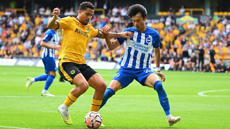 Brighton Hove Albion vs Wolves đối đầu hấp dẫn