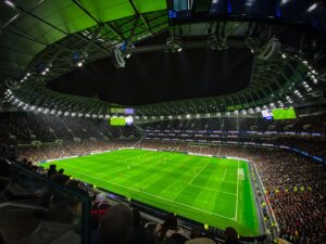 Tottenham football