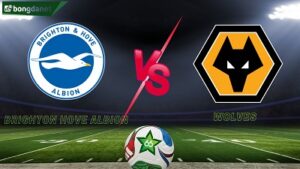 Brighton Hove Albion vs Wolves