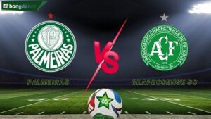 Palmeiras vs Chapecoense SC
