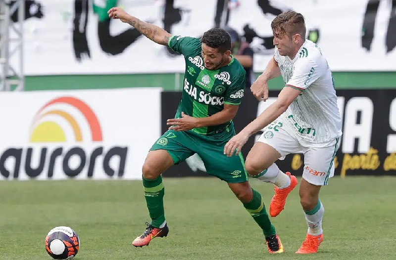 Palmeiras vs Chapecoense SC hứa hẹn mang đến trận đấu kịch tính