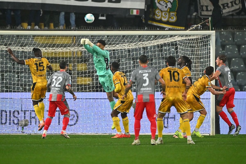 Udinese vs Cremonese đối đầu hấp dẫn