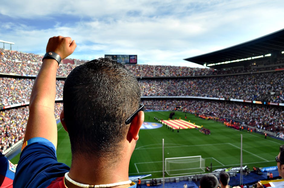 Khán giả hâm mộ trận đấu World Cup 2026