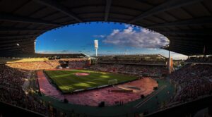 Cổ động viên Bỉ với cờ đỏ trên khán đài World Cup