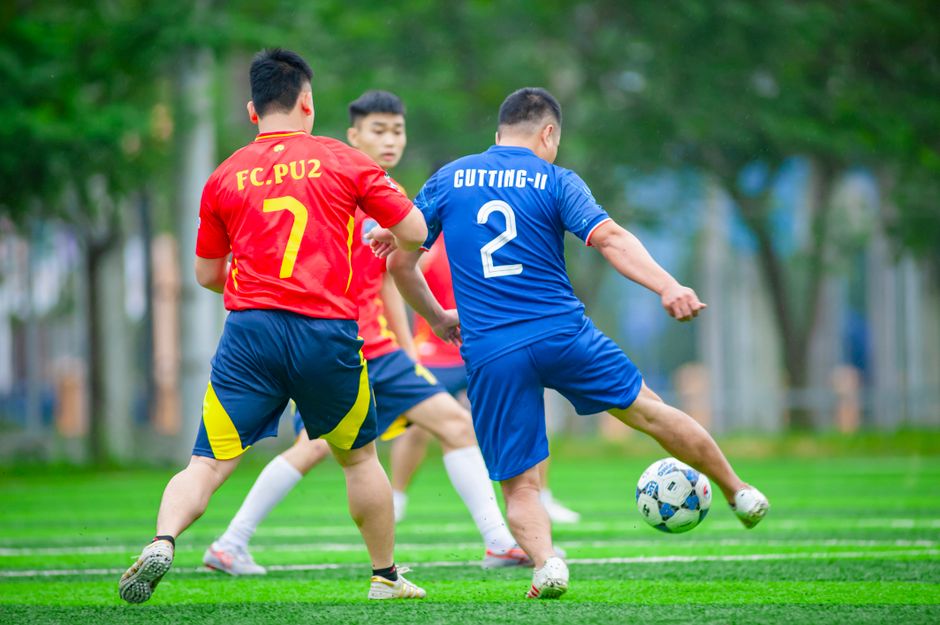 FC Botosani vs Csikszereda VĐQG Romania
