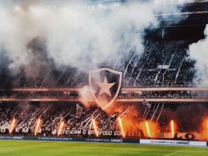 Botafogo SP football