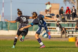 Newcastle Jets vs Gamba Osaka Cúp C1 Châu Á